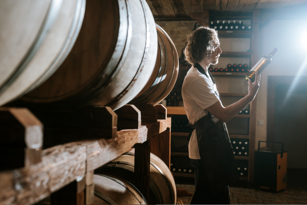 Illustration Viticolis sur viticolis prend soin vos vins et champagnes v2